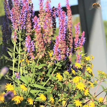 ロッジ Selma Władysławowo