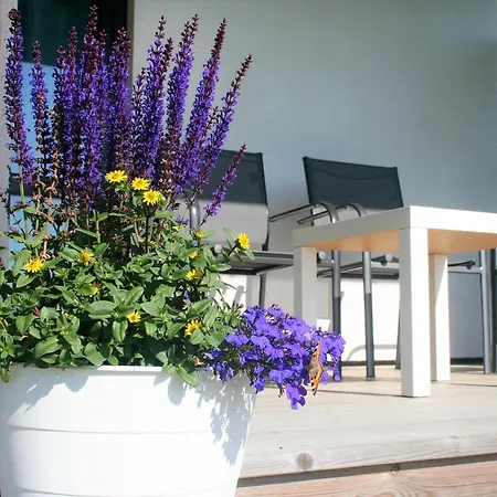 Selma * Władysławowo